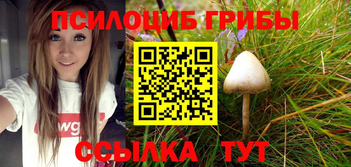 Галлюциногенные грибы MAGIC MUSHROOMS  продажа наркотиков  Энгельс  Вход с VPN 