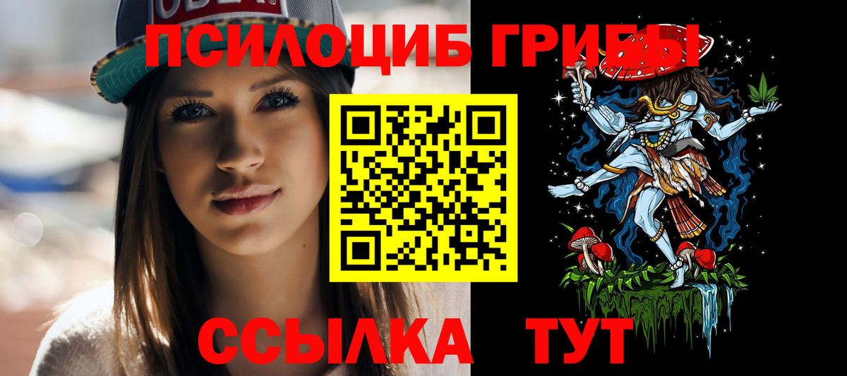 Псилоцибиновые грибы Cubensis Энгельс